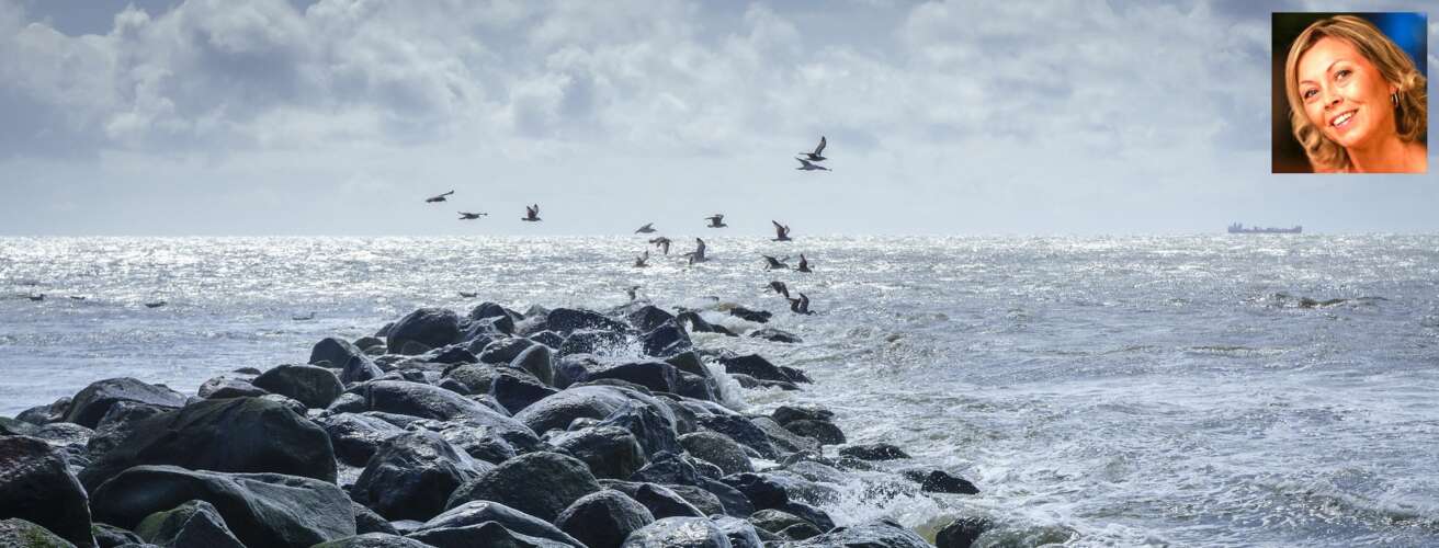 Hvordan Hilde hyrer bærekraftige bønder som skal «skille melk fra Oboy» i Nordsjøen