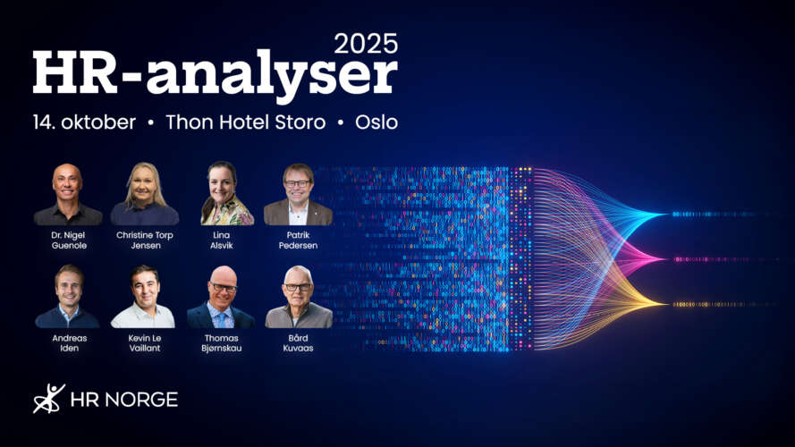 HR analyser 2025 Bakbrunnsbilde 1609 for Monitor og 1344x7582
