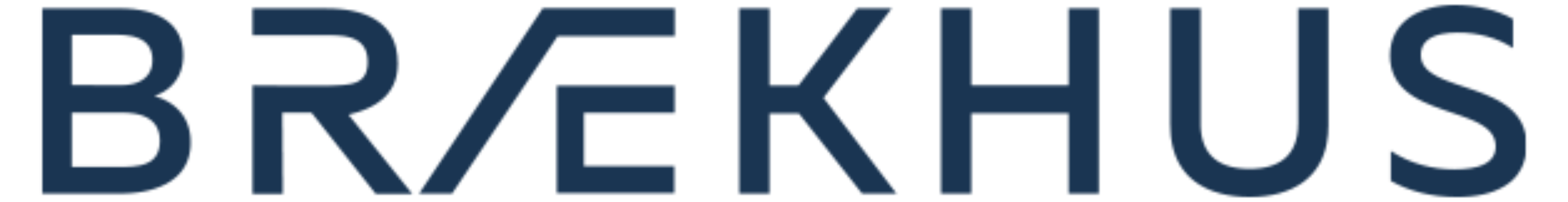 Brækhus logo