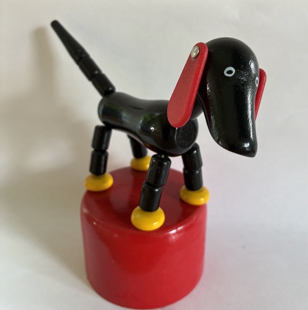 Brio Sempo hund: foto Kari Nordstad