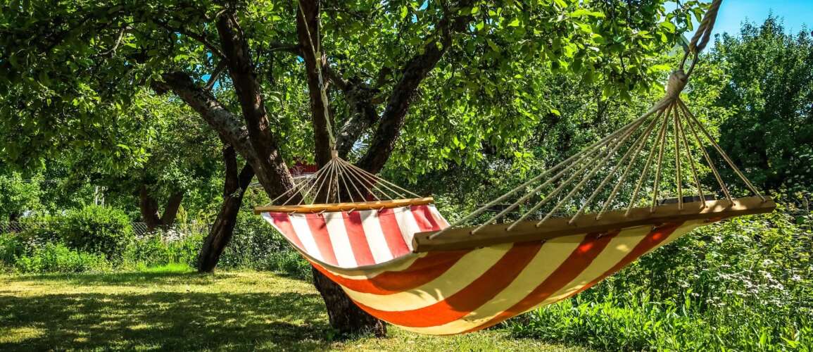 Ønsker du litt faglig påfyll i sommer?