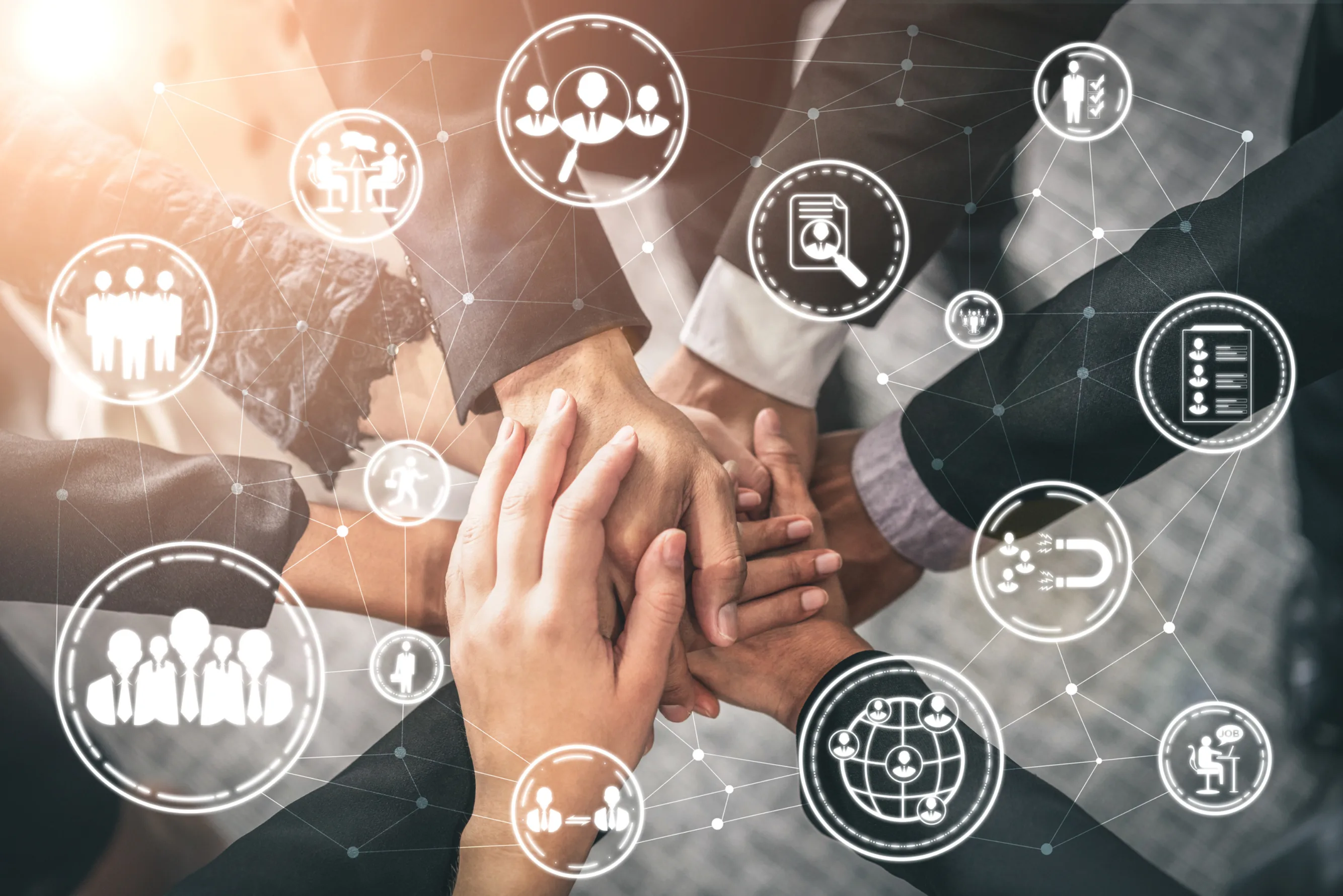 Organisasjon ledelse